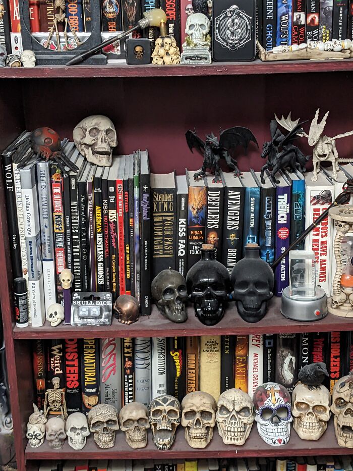 There Are Books Behind All Those Skulls