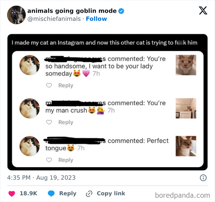 Animals-Going-Goblin-Mode-Pics
