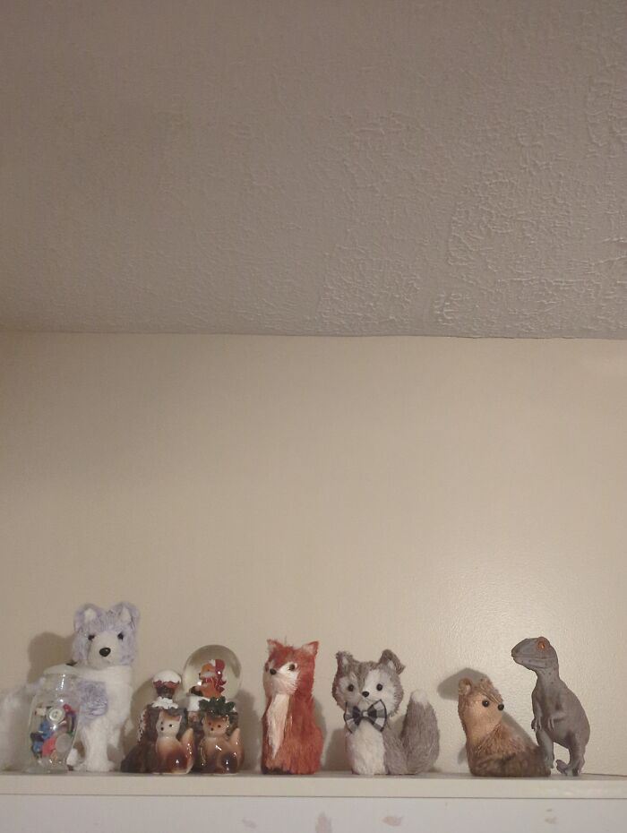 The Random Bottle Of Buttons And A Velociraptor With My Fox Collection