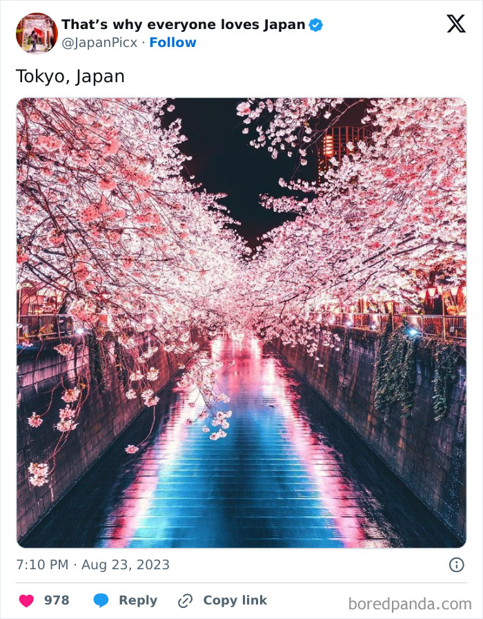Everyone-Loves-Japan-Pictures