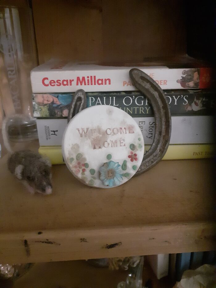 Welcome Home Plaque From My Grandads Cake When He Came Home From Ww2