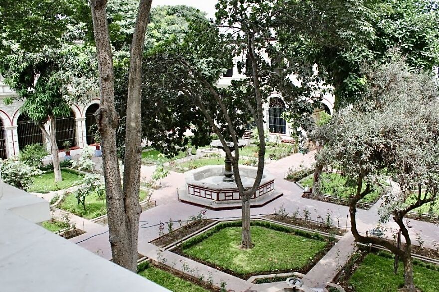 The Interior Garden