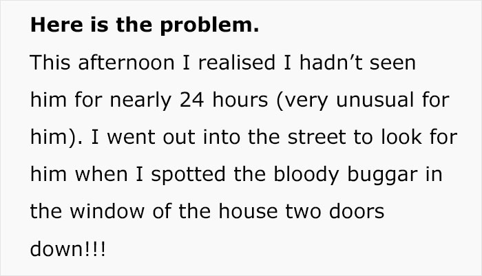 Cat Breaks Into Neighbor’s New Home, They Are Furious And Ask For $2,000 Cat Breaks Into Neighbor’s New Home, They Are Furious And Ask For $2,000