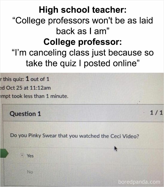 College Professors