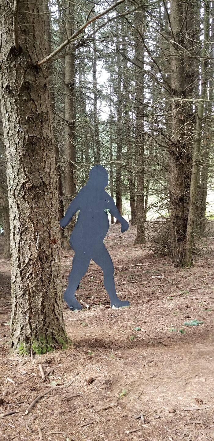 I Found Bigfoot