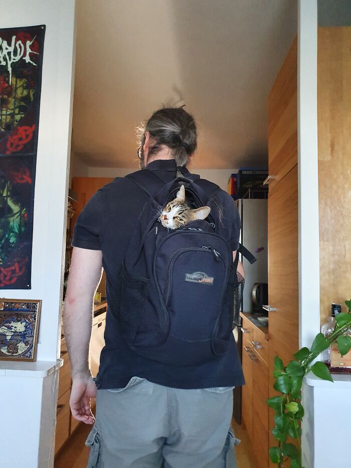 When Our Cat Was Little, She Loved To Be Carried Around In Bags And Backpacks :)