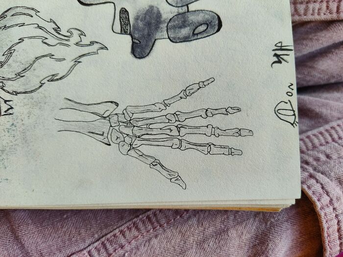 A Hand (Well....at Least The Bones...)