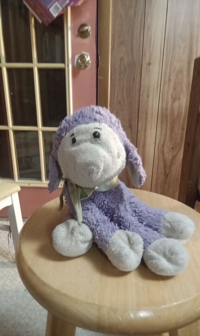 This Is Lambchops, My Dad Named Him After The Puppet. My Sister Got Lambchops From When She Was Around Four I Think, When I Was Born She Gave Lambchops To Me, So I've Had Lambchops All My Life And He Is Older Than Me Lol