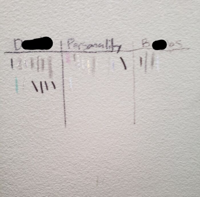 This Enlightened Poll In Our Bathroom (Censored, Obviously)