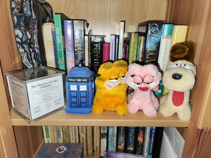 My Garfield Family, A Tardis, And All 4 Of My Diplomas In A Photo Cube (2 High School, 2 College)
