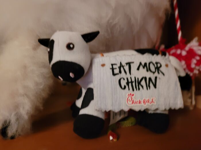 Chick Fil A Cow