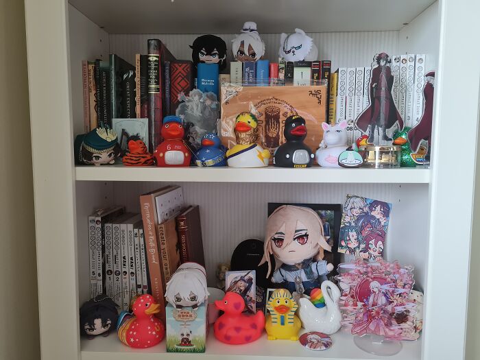 The Other Shelf Since It Didn't Show With The Other Submission