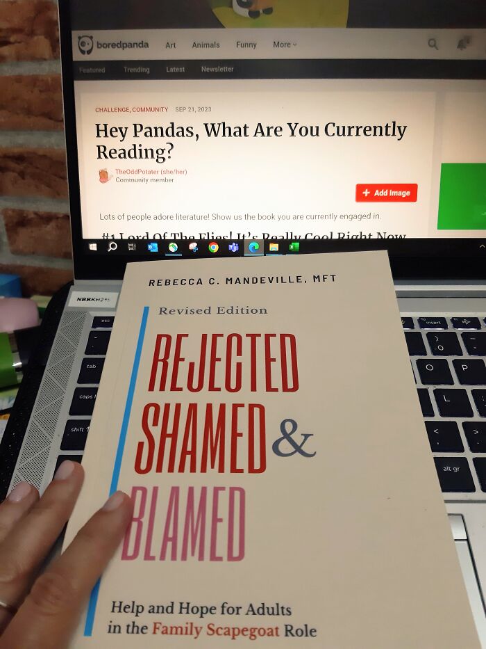Rejected, Shamed And Blamed - Highly Recommended For All Current And Former "Family Scapegoats"