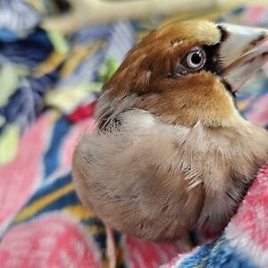 tinapolicinska_1 avatar