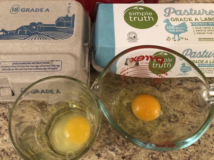 A Side By Side Comparison Of The Cheap Eggs vs. The Fancy Ones