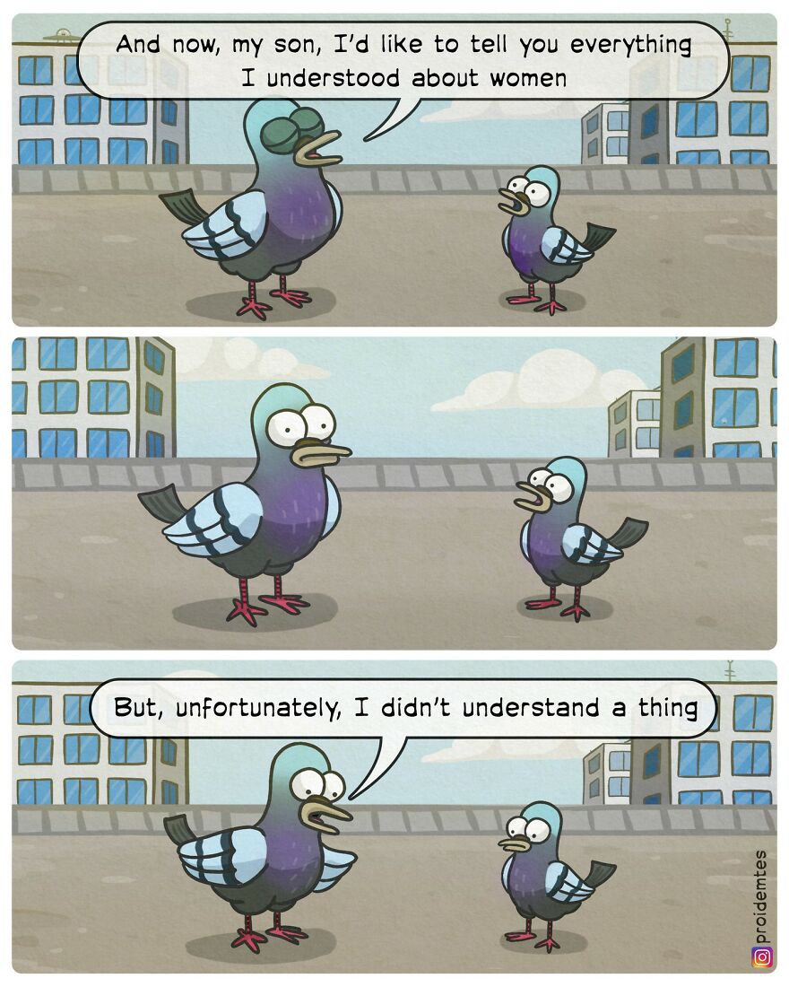 Dad pigeon's lesson about women
