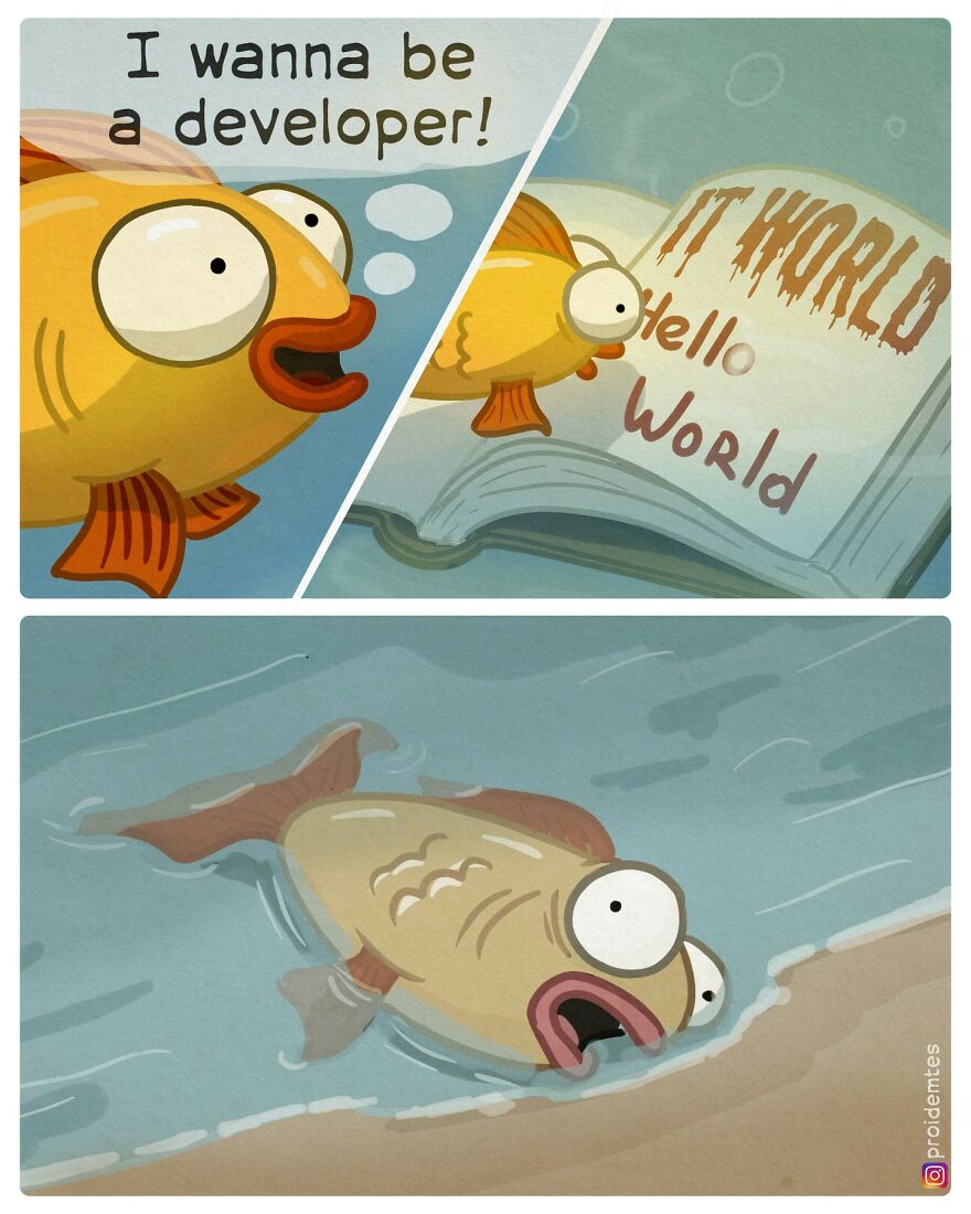 A fish learns about the world