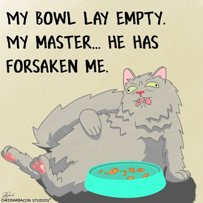 Cat bowl empty
