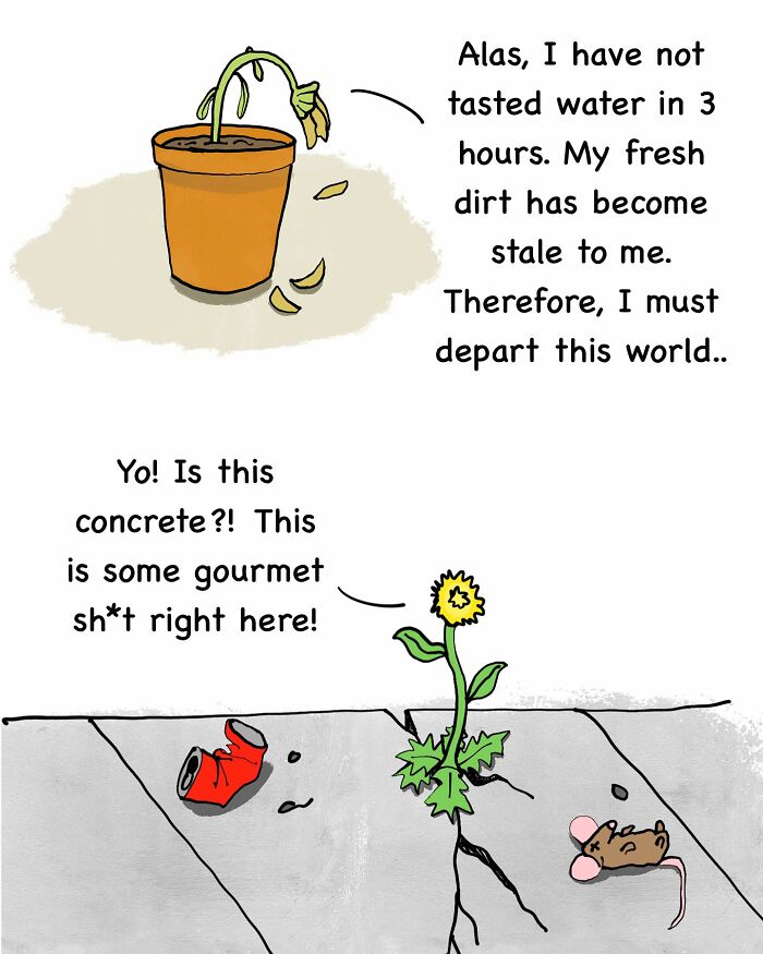 Thriving plants