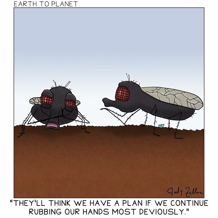 A comic about two flies rubbing their hands 