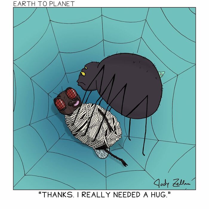 A comic a bout a fly being caught by a spider