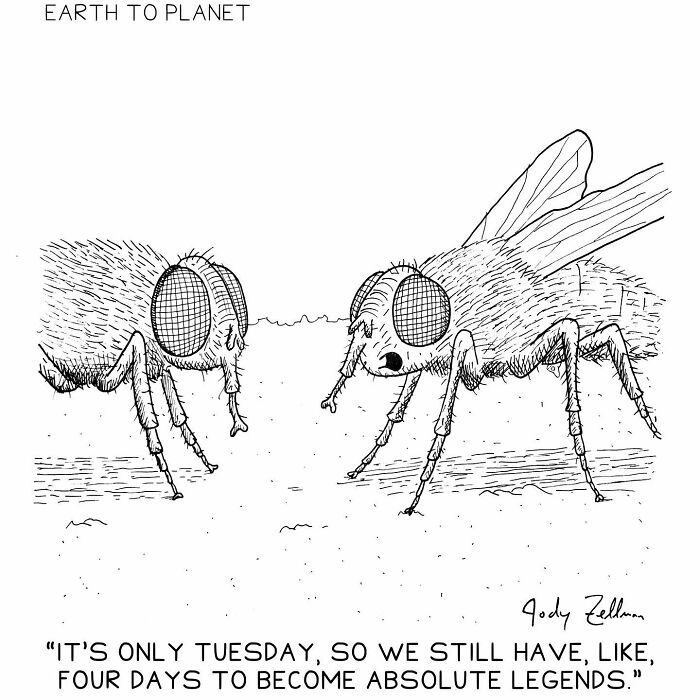 A comic about two flies wanting to become legends