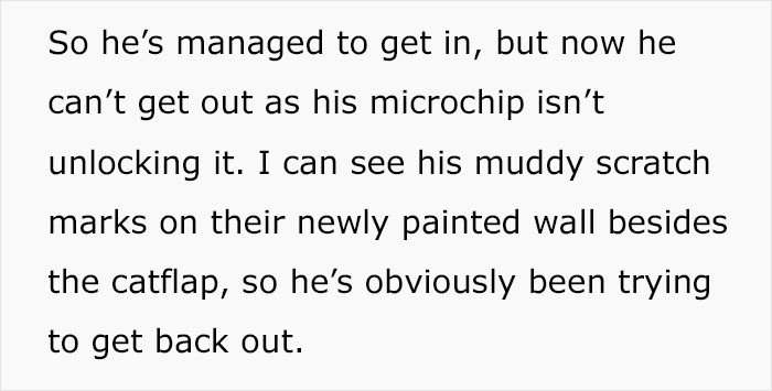 Cat Breaks Into Neighbor’s New Home, They Are Furious And Ask For $2,000 Cat Breaks Into Neighbor’s New Home, They Are Furious And Ask For $2,000
