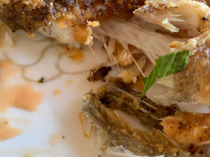 30 Restaurant Guests Share The Most Disgusting Things They’ve Seen, And It Hurts To Read