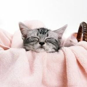 heather_millspaugh avatar