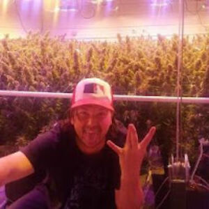 brandonbrown_1 avatar