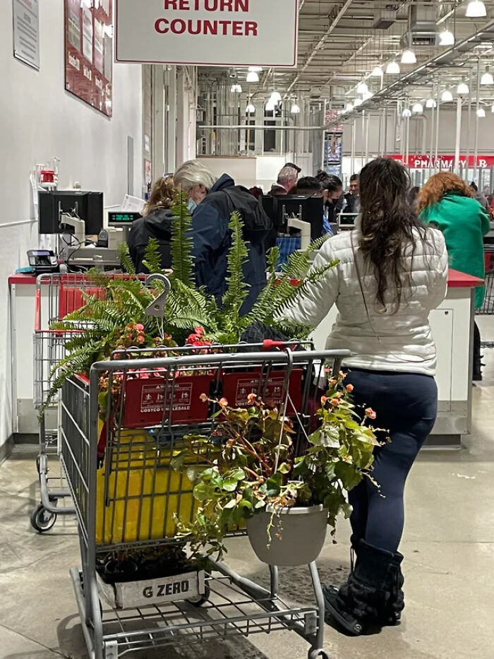 Spotted At Costco. Returning Her Plants After They Wilt In The First Frost