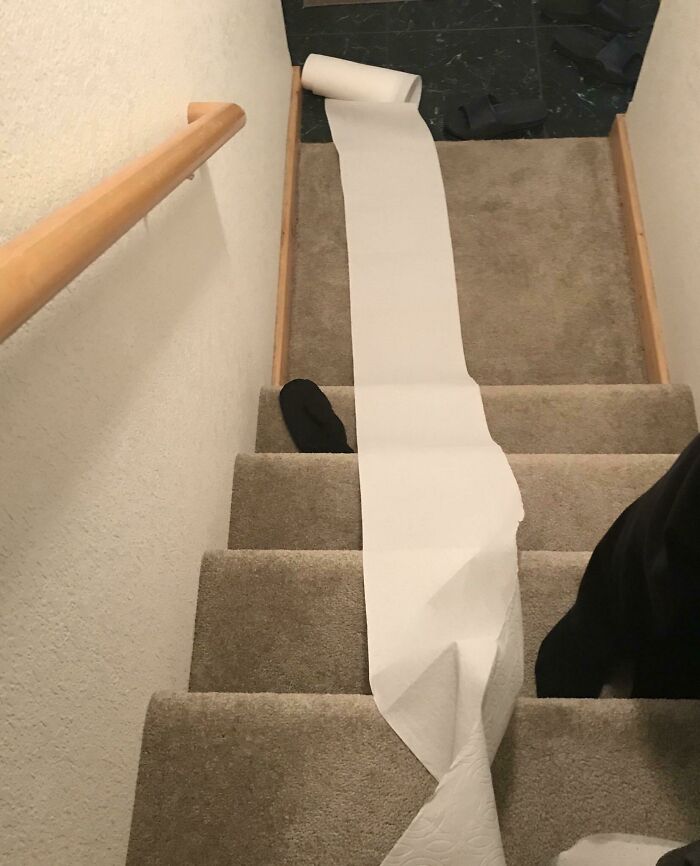 It Was Already The End Of A Long And Annoying 10-Hour Drive, Yet Life Wasn’t Quite Irritating Enough