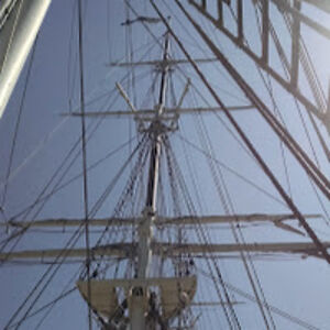 stephankolakowski avatar