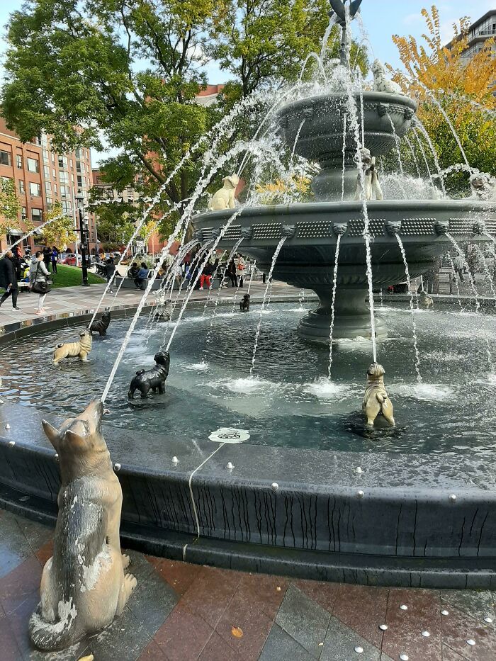 The Dog Fountain You Didn't Know You Needed In Your Life