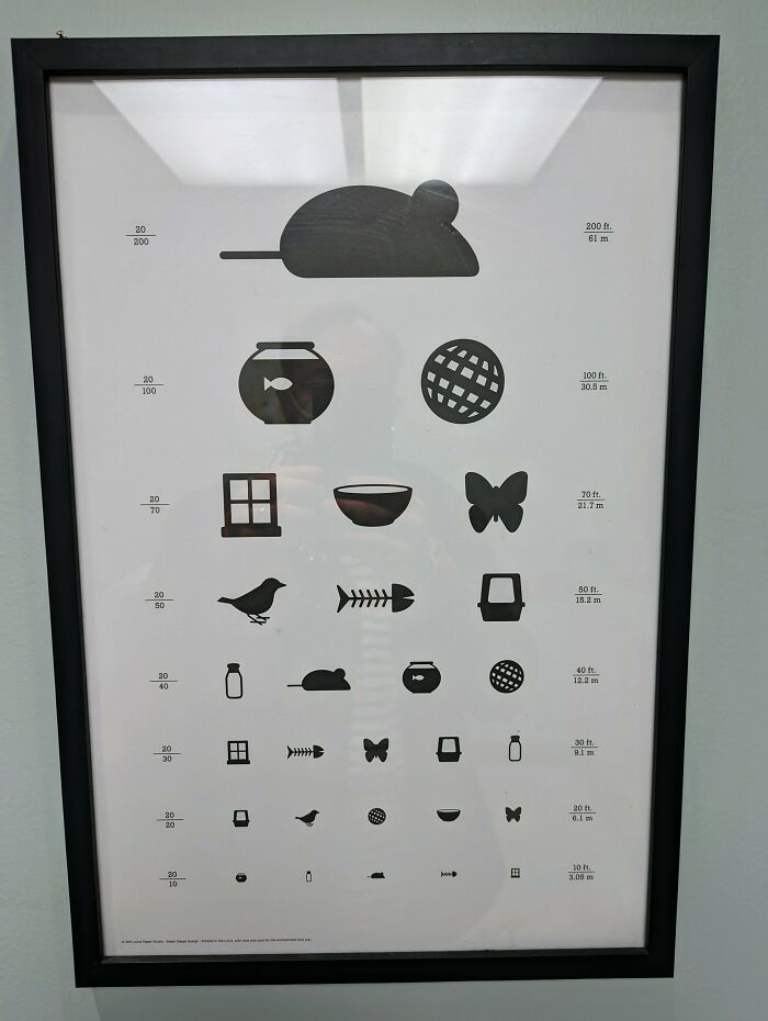 Cat-Specific Eye Chart On The Wall Of A Vet Office
