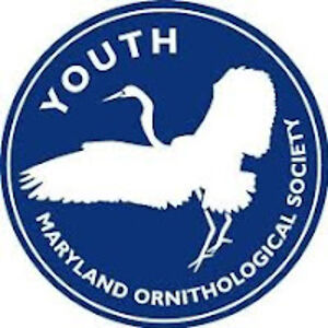 kevinachtmeyer avatar