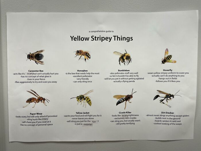 A Guide To Yellow Stripey Things According To My Doctor’s Office