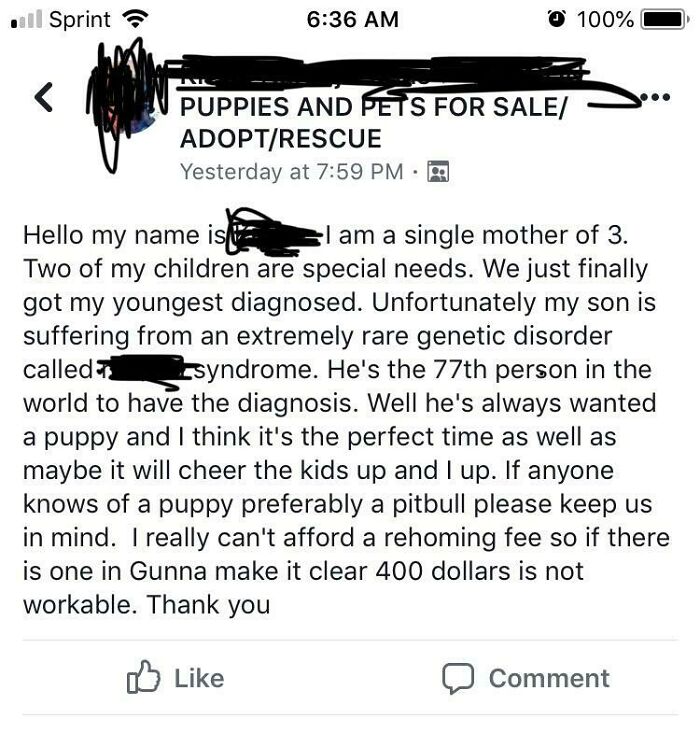 Single Mom! Sick Kid! Wants Free Puppy! Choosing Beggar?
