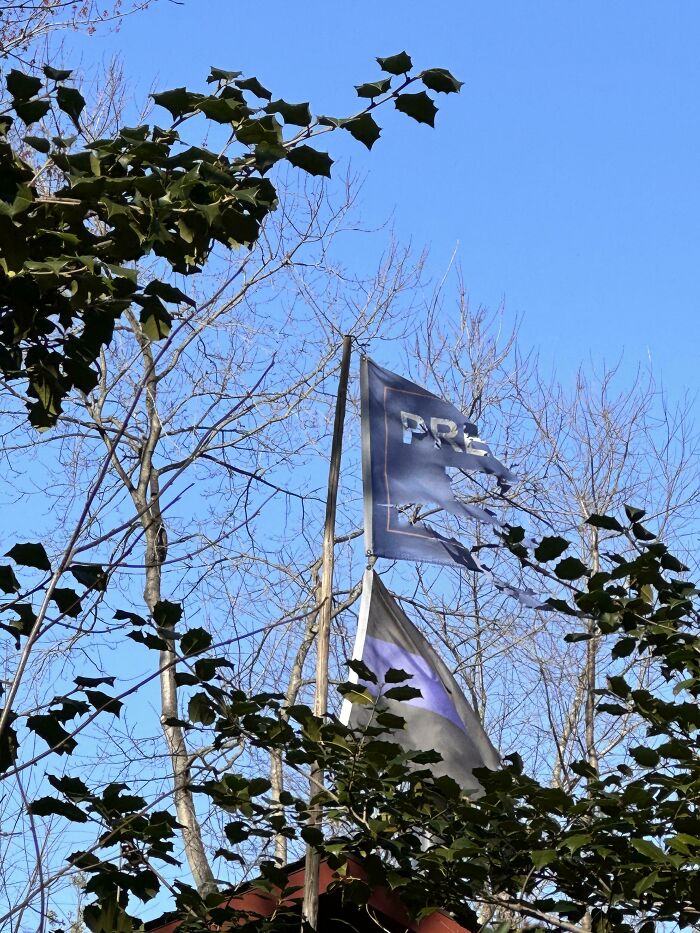 My Neighbor Is A January 6th Participant And Is Currently In Prison. This Is The Flag Above His Garage