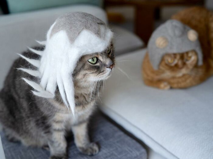 Cat wearing a tiny hat made by Umatan and Rojiman