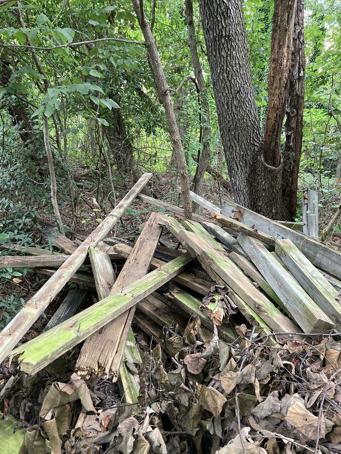 Next Door Neighbor Took Down His Deck And Put The Old Wood With Rusty Nails Sticking Out In The Woods That My Kids Play In
