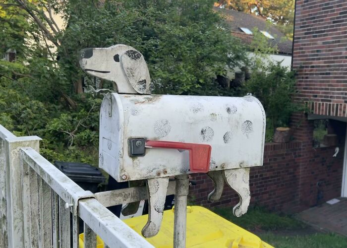 This Cute Dog Mailbox