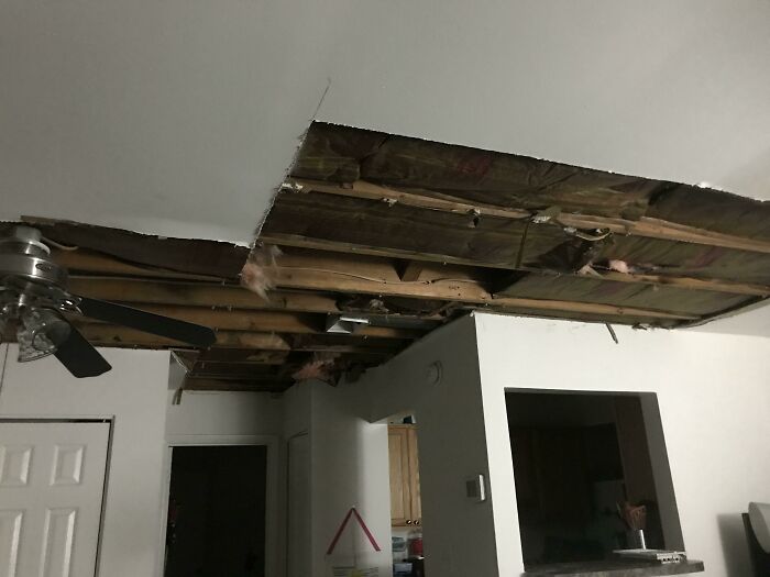 Upstairs Neighbors Didn’t Report A Maintenance Issue. My Entire Apartment Is Damaged
