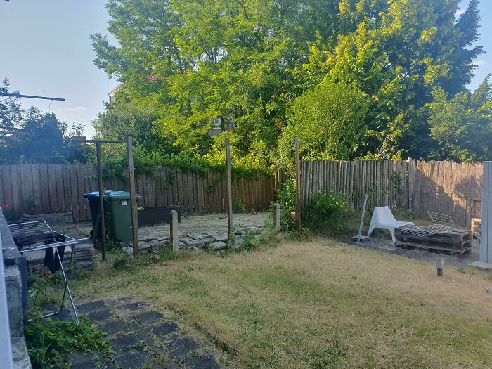 I Came Home And Saw My Neighbors (Who Are Moving Out) Took Down The Shared Fence