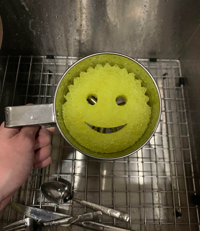 Sponge-Father In My Flour Sifter