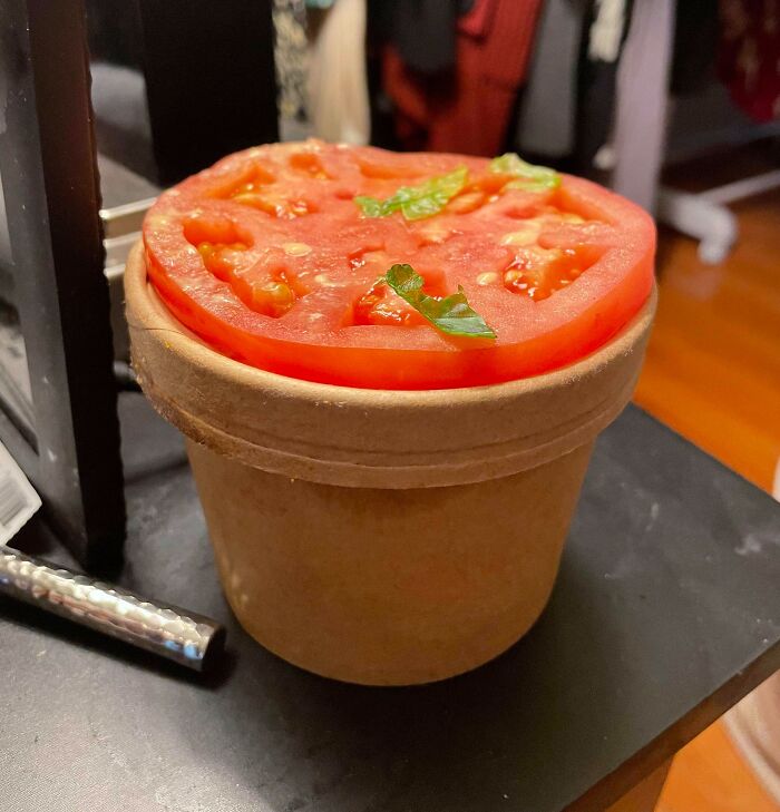 The Tomato From My Sandwich On The Lid Of My Cup Of Soup