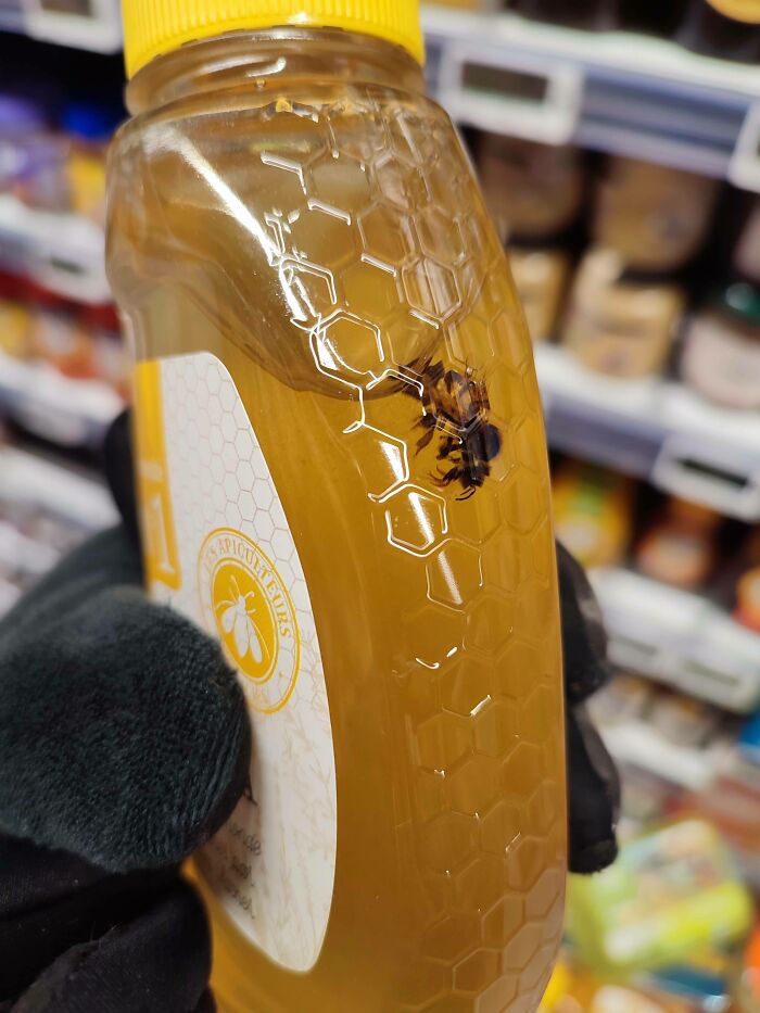 Found A Dead Bee Inside My Honey
