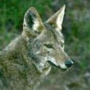 cleosmom12749 avatar