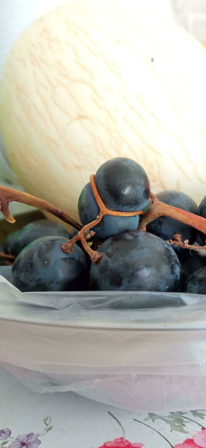 This Grape Getting Strangled By Its Own Stem