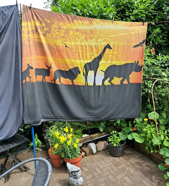 Our 'African Animal' Blanket Cover Has A Kangaroo On It And The Sizes Are.. Questionable